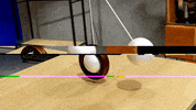 Morgz3D  GIF