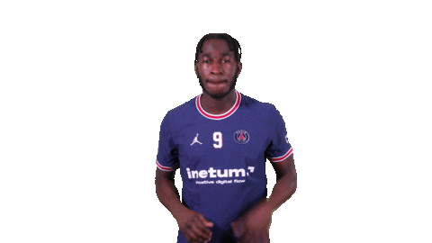 Fight Sport Sticker by Paris Saint-Germain Handball