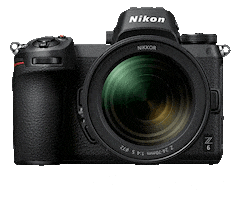 Nikon Nikoninstabadge Sticker by NikonIndia