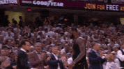 high five lebron james GIF by NBA