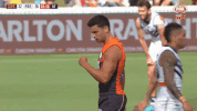 afl giants GIF
