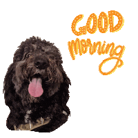 Doobie Sticker by vivelemerde