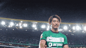 Morita GIF by Sporting CP