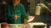 season 2 smile GIF by DREAM CORP LLC