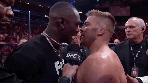 Mixed Martial Arts Sport GIF by UFC