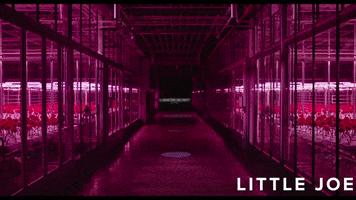 Unsettling Ben Whishaw GIF by Magnolia Pictures