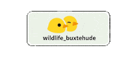 Logo Sticker