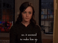 season 5 netflix GIF by Gilmore Girls 