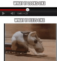 video speed GIF