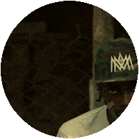 Jungle Sticker by Cinq Music
