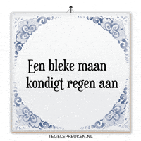 Wijsheid Reflectie GIF by Tegelspreuken.nl