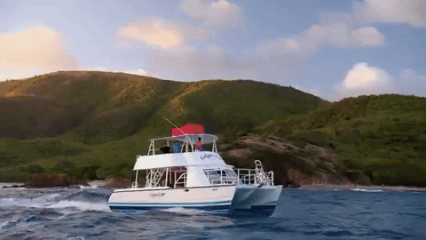 kaitlyncurlz giphygifmaker GIF