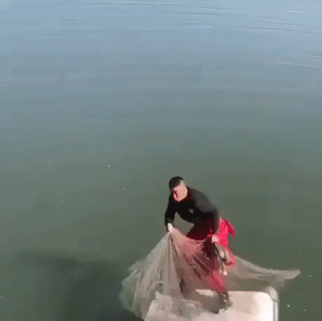 casting a big net GIF