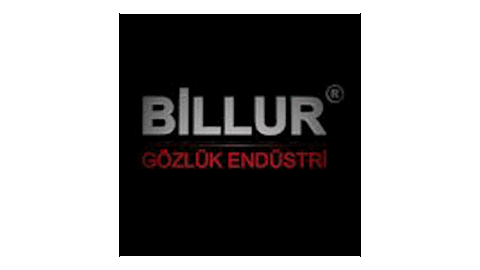 billuroptikkqk giphyupload Sticker