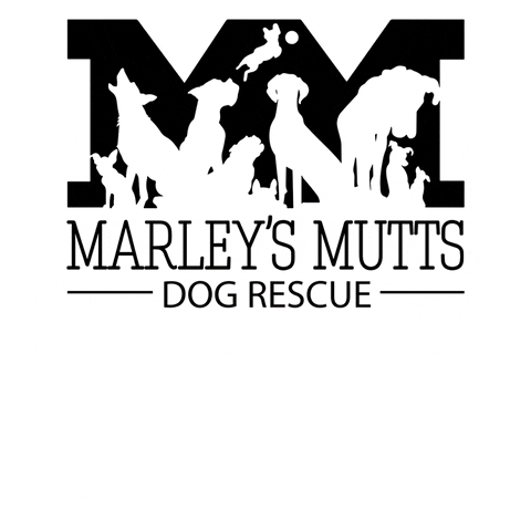 MarleysMuttsDogRescue mm marleys mutts GIF