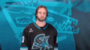 San Jose Yes GIF by San Jose Barracuda