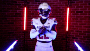 Boo Thumbs Down GIF by Richmond Spiders