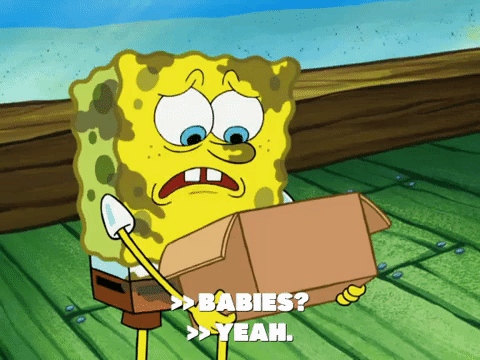 season 6 pet or pets GIF by SpongeBob SquarePants