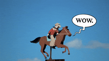 wow cowboy