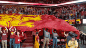 Iowa State Cyclones Basketball GIF by Iowa State