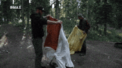 show gold GIF by DMAX