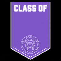 Ccny GIF by The City College of New York