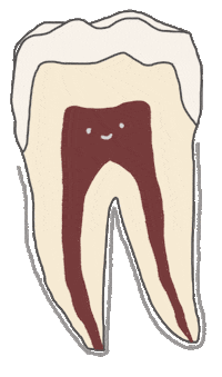 Teeth Tooth Sticker