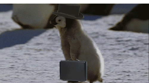 meeting GIF