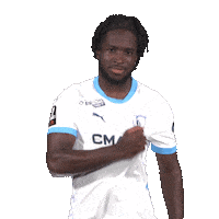 Ligue 1 Football Sticker by Olympique de Marseille