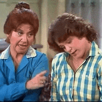 the facts of life 80s tv GIF by absurdnoise