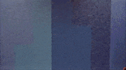 GIF by MIRAMAX