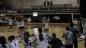 NevadaWolfPack college ncaa volleyball athletics GIF