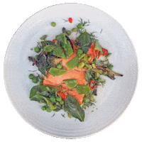 vegetables salmon Sticker by Major Food Group