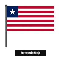 Flag Bandera Sticker by Formación Ninja