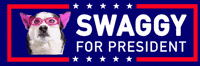 Dog President GIF by SWAGGY WOLFDOG