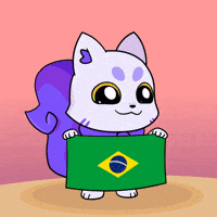 Rio De Janeiro Flag GIF by Lucky Kat Studios