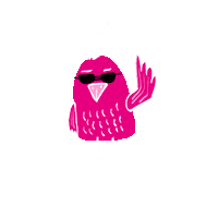 Rebexi party bird sunglasses disco Sticker