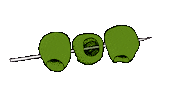 Martini Olives Sticker