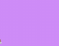 dog flower GIF by Tales&Tails