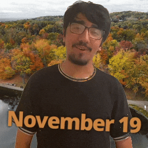 November 19