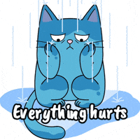 Sad Blue Cat GIF