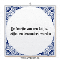 Nl Spreuk GIF by Tegelspreuken.nl
