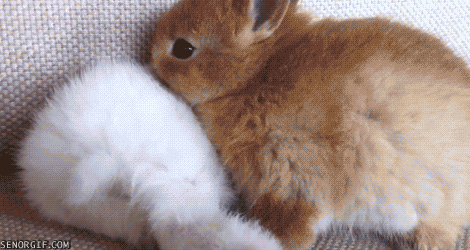 go away leave GIF by Cheezburger