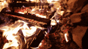 jugendleiter fire campfire jugendarbeit camp fire GIF