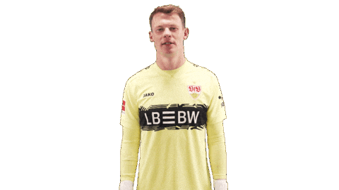 Vfb Stuttgart Football Sticker by Bundesliga