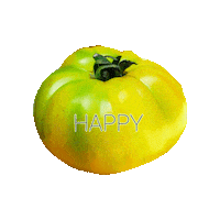 tomatorevolution tomato happy tomato tuesday happy tomato big tomato Sticker