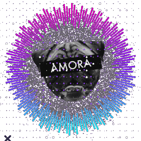 Zdk Sticker by Amora Pug Brasil