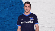 Football Soccer GIF by Hertha BSC