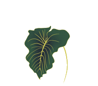 Byalis Sticker by andreaghirelli