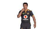 Rugby Sticker by Wasps